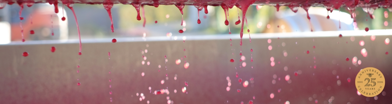 For the Love of Wine